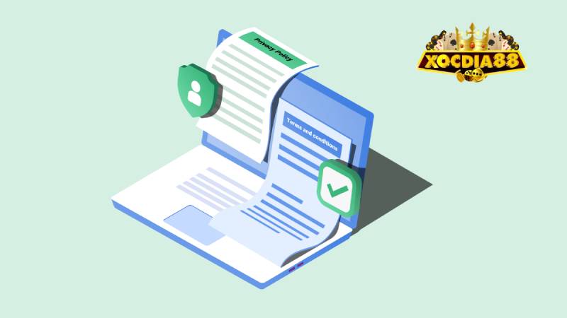 Điều Khoản Điều Kiện 3 Quyền sửa đổi và bổ sung điều khoản: Luôn cập nhật để phù hợp thực tiễn